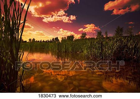 Stock Image - Sunset over a lake. Fotosearch