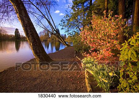 Stock Image - Sunset refection on a pond, Portland, Oregon, USA. Fotosearch