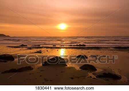 Stock Image - Sunset reflection along coastline, Oregon, USA. Fotosearch