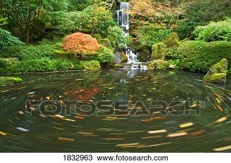 Stock Image - Swirling leaves in a pond with waterfall. Fotosearch