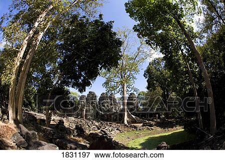 Temple ruins in the ancient city of Angkor Wat, Northwestern Cambodia View Large Photo Image Stock Photo - Temple ruins in the ancient city of Angkor Wat, Northwestern Cambodia. Fotosearch