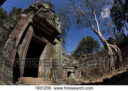 Stock Photography - Temple ruins in the ancient city of Angkor Wat, Northwestern Cambodia. Fotosearch