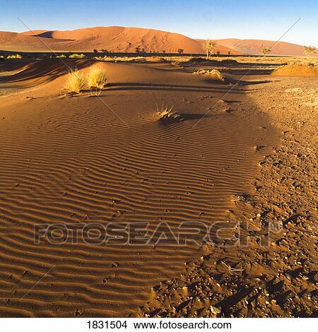 Picture - The desert in Namibia, Africa. Fotosearch