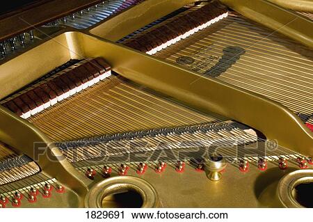 Stock Image - The inside of a piano. Fotosearch