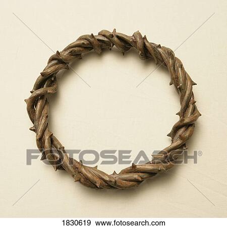 Thorns arranged in circular shape View Large Photo Image Stock Photo - Thorns arranged in circular shape. Fotosearch