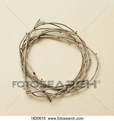 Thorns arranged in circular shape View Large Photo Image Stock Photograph - Thorns arranged in circular shape. Fotosearch
