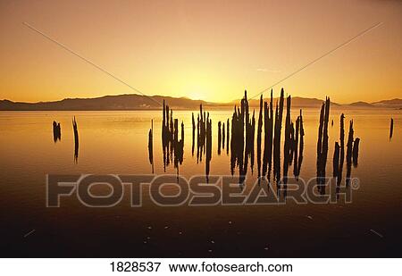 Stock Photo - Tillamook Bay at sunrise, Oregon, USA. Fotosearch