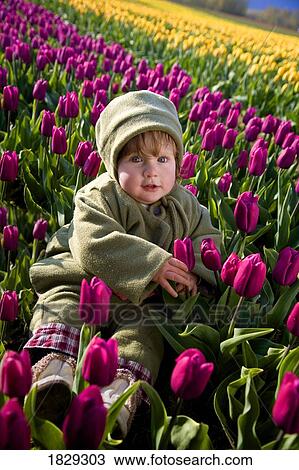 Stock Image - Toddler sitting in field of tulips. Fotosearch