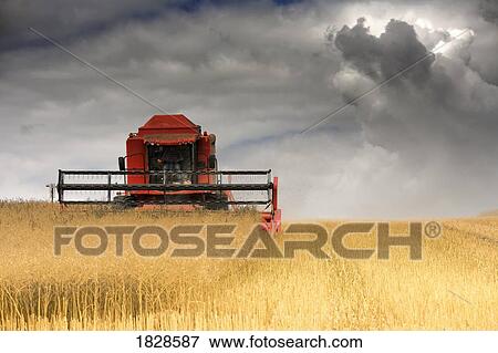 Tractor mowing field, North Yorkshire, England View Large Photo Image Stock Photo - Tractor mowing field, North Yorkshire, England. Fotosearch
