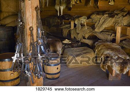 Stock Photography - Trapping equipment and furs, Fort Edmonton, Alberta, Canada. Fotosearch