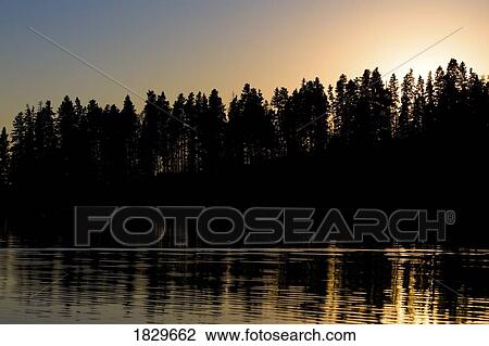 Treelined lake, Elk Island, Alberta, Canada View Large Photo Image Stock Image - Treelined lake, Elk Island, Alberta, Canada. Fotosearch