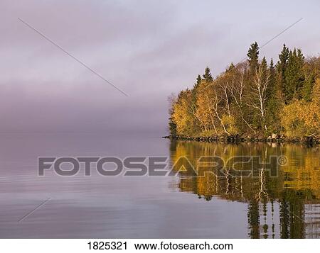 Stock Image - Trees reflected in a lake. Fotosearch