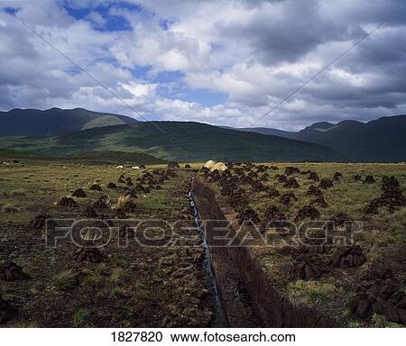 Stock Image - Turf being cut and dried, near Leenane, Co Galway, Ireland. Fotosearch