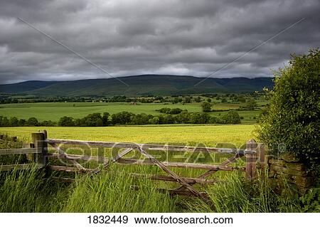 Stock Photo - View Of Rural Landscape, Cumbria, England. Fotosearch