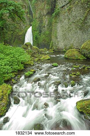 Picture - Wahclella Falls, Tanner Creek, Columbia River Gorge, Oregon, USA. Fotosearch