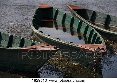 Water filled wooded boats on the shore View Large Photo Image Stock Image - Water filled wooded boats on the shore. Fotosearch