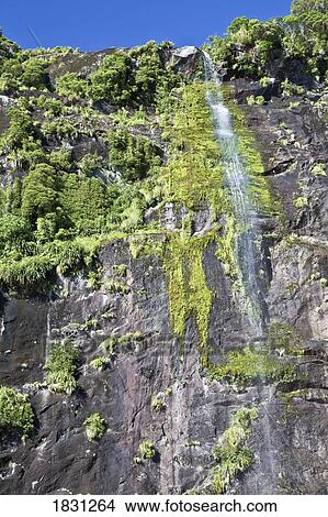 Waterfall in Milford Sound, New Zealand View Large Photo Image Picture - Waterfall in Milford Sound, New Zealand. Fotosearch