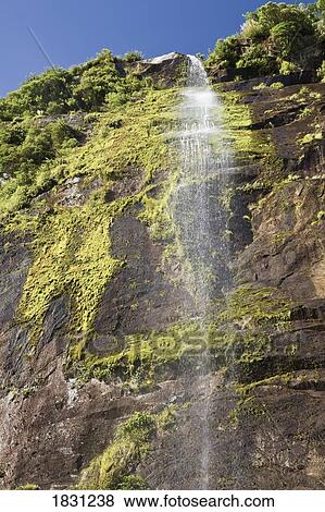 Waterfall in Milford Sound, New Zealand View Large Photo Image Stock Photo - Waterfall in Milford Sound, New Zealand. Fotosearch