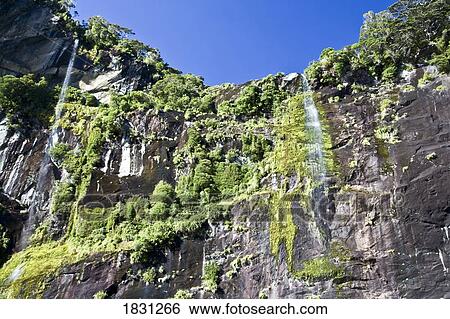 Stock Photograph - Waterfall in Milford Sound, New Zealand. Fotosearch