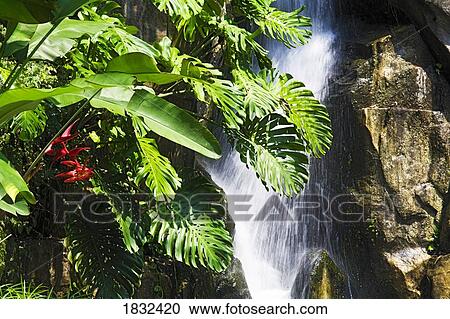 Stock Image - Waterfall, Sentosa, Singapore. Fotosearch