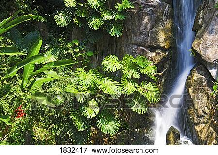 Stock Photo - Waterfall, Sentosa, Singapore. Fotosearch