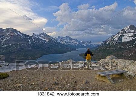 Waterton Lakes National Park, Alberta, Canada, Hiker standing in a national park View Large Photo Image Stock Image - Waterton Lakes National Park, Alberta, Canada, Hiker standing in a national park. Fotosearch