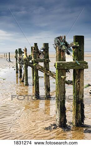 Weathered posts in water, Humberside, England View Large Photo Image Picture - Weathered posts in water, Humberside, England. Fotosearch