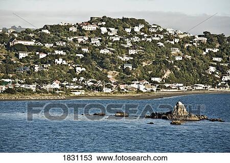 Stock Image - Wellington, New Zealand. Fotosearch