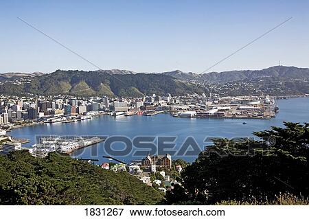 Wellington, New Zealand View Large Photo Image Stock Photo - Wellington, New Zealand. Fotosearch