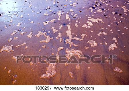 Wet sandy beach View Large Photo Image Stock Photo - Wet sandy beach. Fotosearch