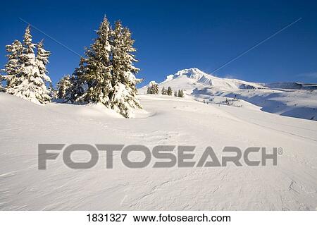 Stock Photo - Winter at Mount Hood, Cascade Mountains, Oregon, USA. Fotosearch