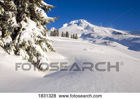 Winter at Mount Hood, Cascade Mountains, Oregon, USA View Large Photo Image Stock Photo - Winter at Mount Hood, Cascade Mountains, Oregon, USA. Fotosearch