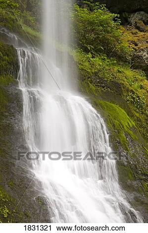 Stock Image - Winter Falls, Silver Falls State Park, Oregon, USA. Fotosearch