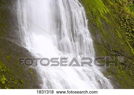 Stock Photo - Winter Falls, Silver Falls State Park, Oregon, USA. Fotosearch