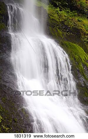 Winter Falls, Silver Falls State Park, Oregon, USA View Large Photo Image Stock Photo - Winter Falls, Silver Falls State Park, Oregon, USA. Fotosearch