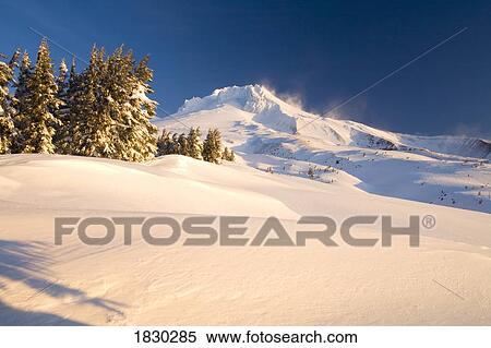 Winter landscape at Mount Hood, Oregon, USA View Large Photo Image Stock Photography - Winter landscape at Mount Hood, Oregon, USA. Fotosearch