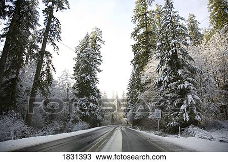 Stock Image - Winter road, Oregon, USA. Fotosearch