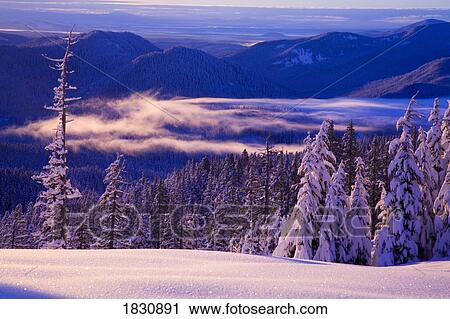 Stock Image - Winter snow, Cascades Mountains, Oregon, USA . Fotosearch