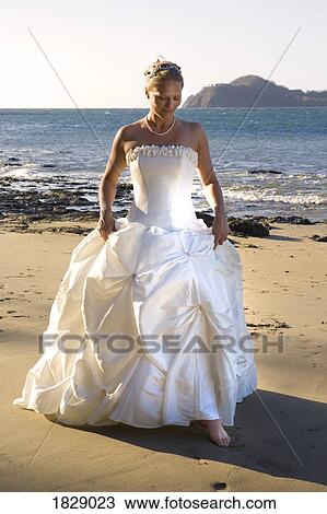 Woman in wedding dress on beach View Large Photo Image Stock Image - Woman in wedding dress on beach. Fotosearch