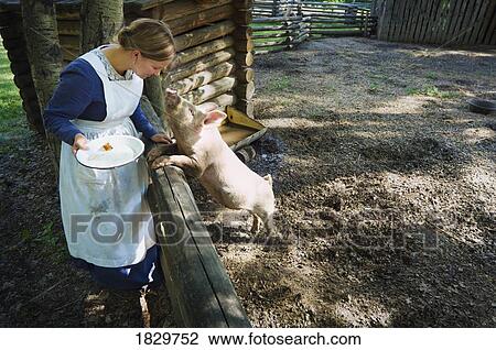Woman wearing pioneer costume feeding pig, Fort Edmonton, Alberta, Canada View Large Photo Image Stock Image - Woman wearing pioneer costume feeding pig, Fort Edmonton, Alberta, Canada. Fotosearch