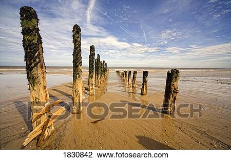 Stock Image - Wooden posts in shallow water, Humberside, England. Fotosearch