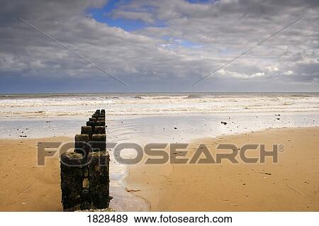Wooden posts out to sea, Yorkshire, England View Large Photo Image Stock Photo - Wooden posts out to sea, Yorkshire, England. Fotosearch