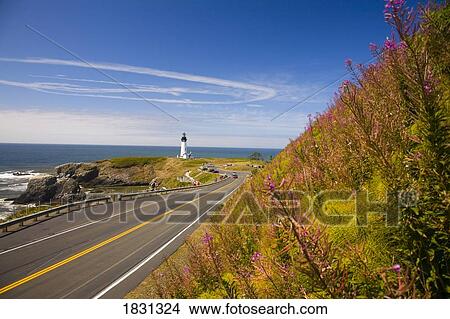 Picture - Yaquina Head Lighthouse, Oregon, USA. Fotosearch
