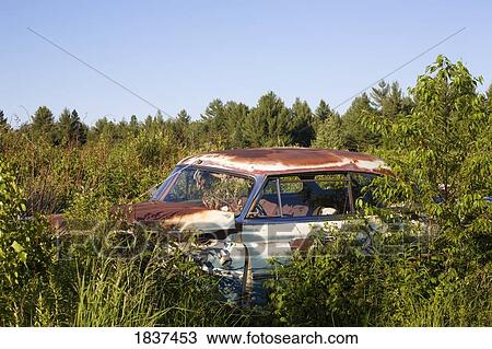 Abandoned vehicle in bushes View Large Photo Image Stock Image - Abandoned vehicle in bushes. Fotosearch