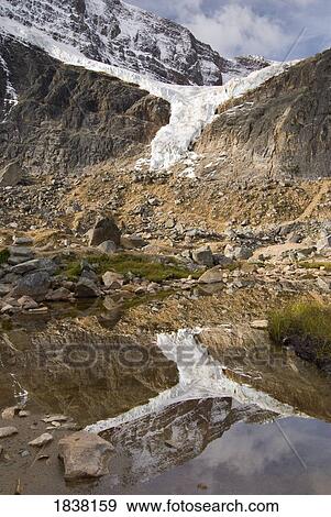 Stock Photo - Angel Glacier, Mount Edith Cavell, Jasper National Park, Alberta; Glacier from the Cavell Meadows Trail. Fotosearch