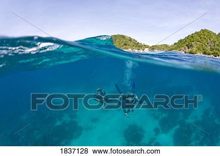 Apo Island Marine Park, s Oriental Island, Philippines, Southeast Asia; Scuba Divers View Large Photo Image Stock Photo - Apo Island Marine Park, s Oriental Island, Philippines, Southeast Asia; Scuba Divers. Fotosearch