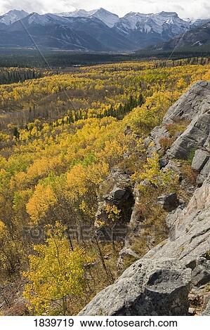 Autumn view of Bow Valley, Alberta, Canada View Large Photo Image Stock Photo - Autumn view of Bow Valley, Alberta, Canada . Fotosearch