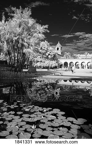 Balboa Park, San Diego, California, USA: Lily Pond, View Large Photo Image Stock Image - Balboa Park, San Diego, California, USA: Lily Pond, . Fotosearch