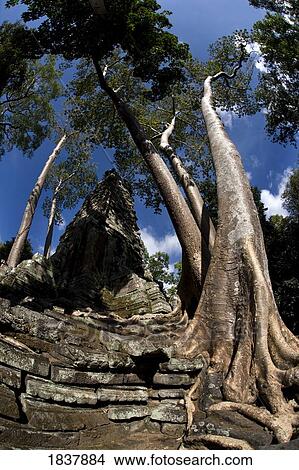 Bayon temple, Angkor, Cambodia View Large Photo Image Picture - Bayon temple, Angkor, Cambodia. Fotosearch