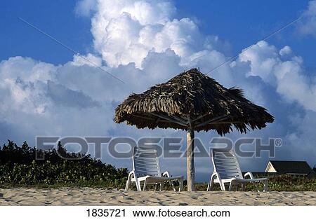 Beach chairs, Santa Maria, Cuba View Large Photo Image Stock Image - Beach chairs, Santa Maria, Cuba. Fotosearch